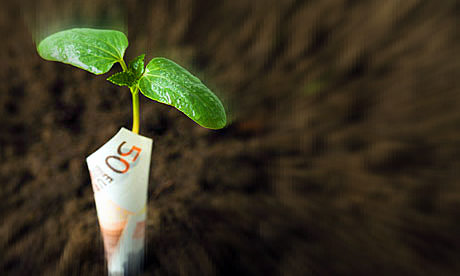 Plant Growing 50 Euro Bill