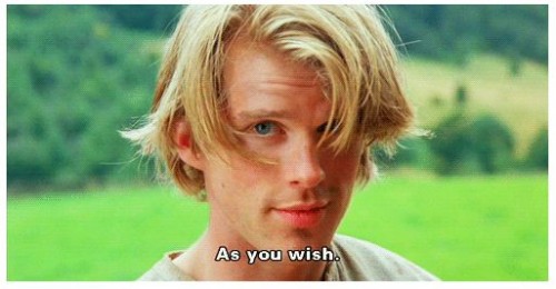 the princess bride as you wish