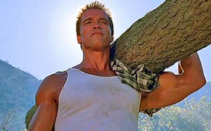 Arnold Schwarzenegger tree log 6 rules